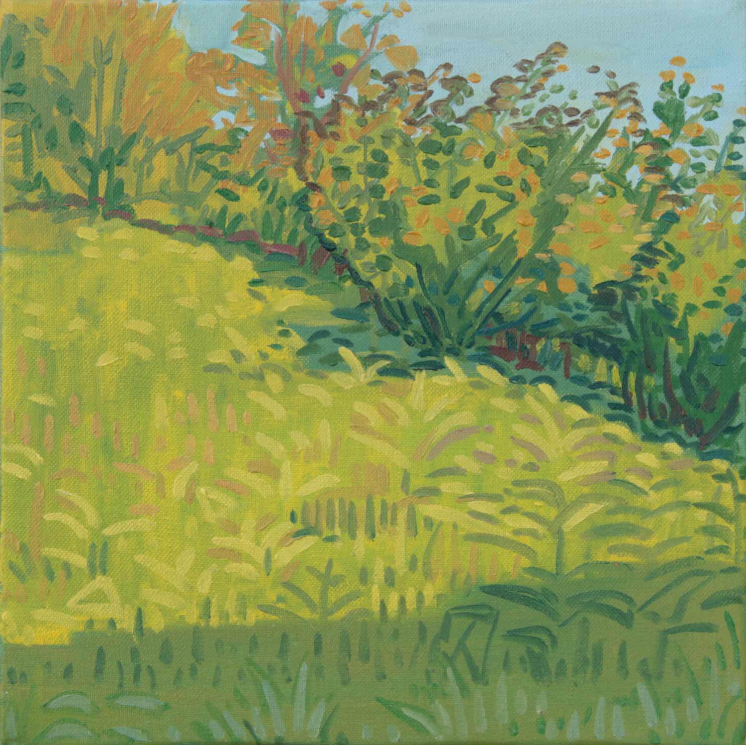 Hazelnut Trees On The Hill-20x20cm-2020-Oil on canvas