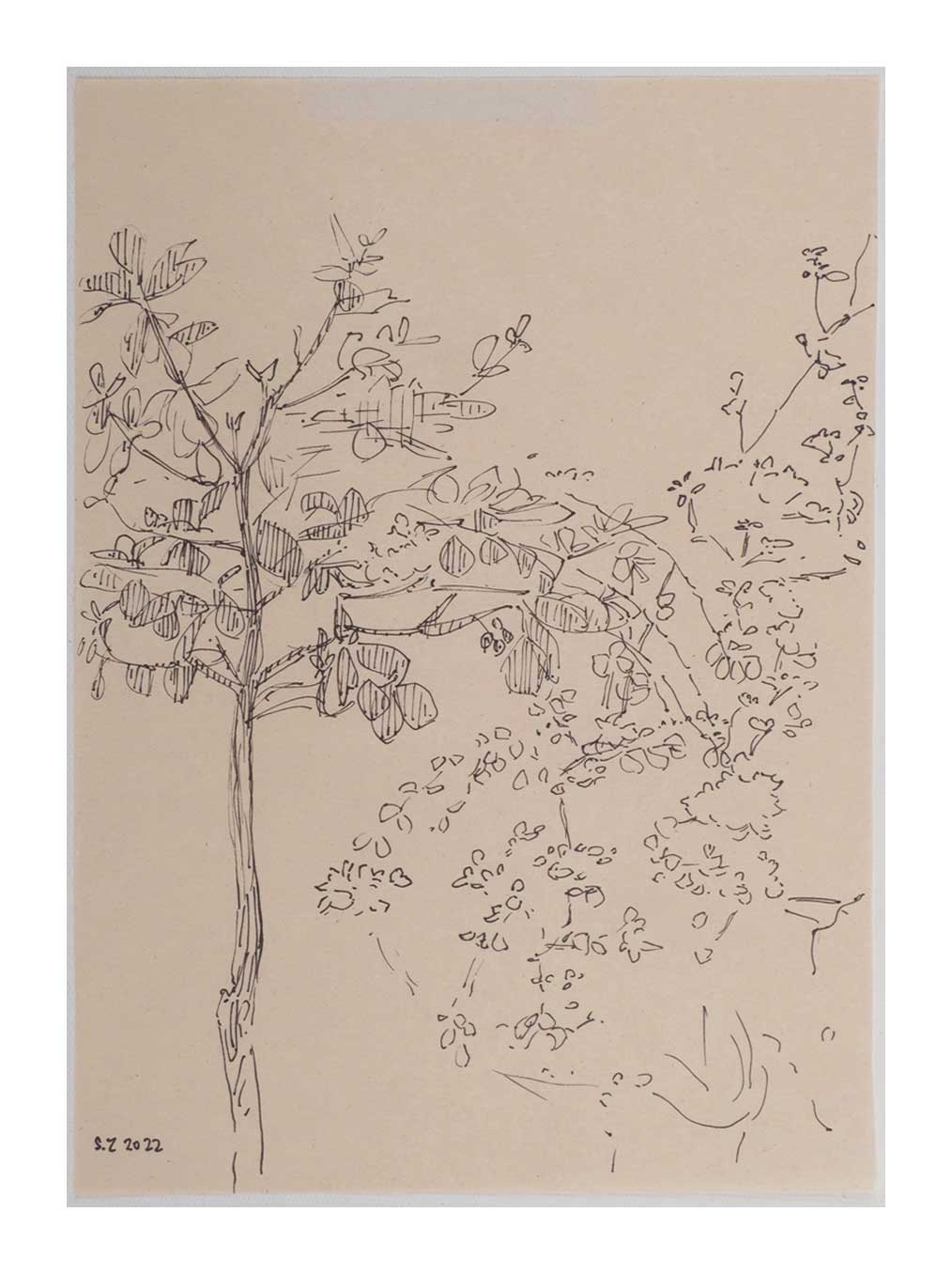 Sourena Zamani-Exile Landscape Sketches-no.40-25x17cm-2022-ink on paper