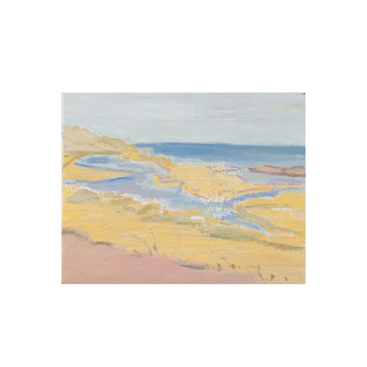 Sourena Zamani-Tak Derakht Beach-No.1-24x30cm-2022-oil on canvas